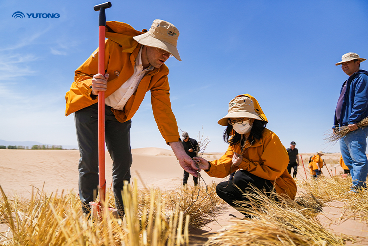 Yutong Bus Announces Major Milestone for Net Zero Forest Initiative on Earth Day 2025: One Tree Planted per Bus in Operation